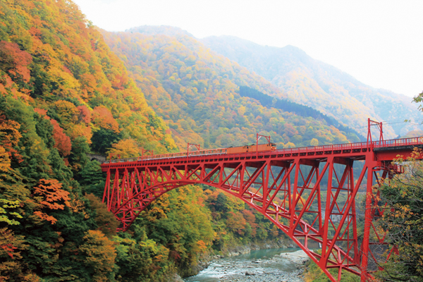 【限定25名・富山再発見の旅】黒部峡谷トロッコとアルプスエキスプレス 〜秋の宇奈月温泉街を巡る〜