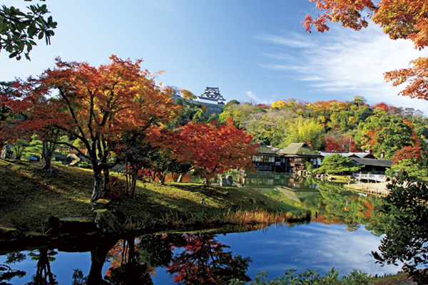 国宝 秋の彦根城と金剛輪寺へ2018 紅葉シーズン到来!1度に2箇所の紅葉を楽しみませんか?