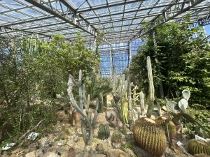 水戸・つくばの植物園へ！