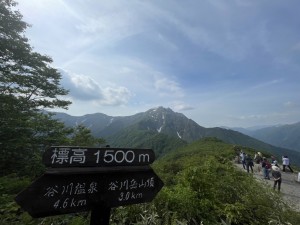 S__76005380_0