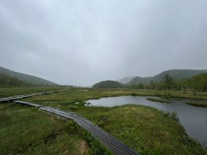 秘境！尾瀬ヶ原 ハイキングツアー