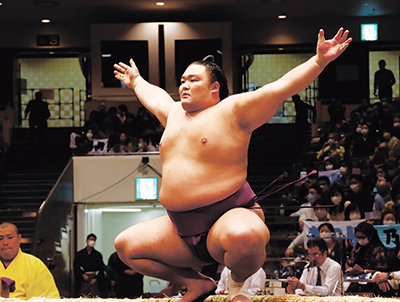 【マスB席】大相撲3月場所観戦ツアー