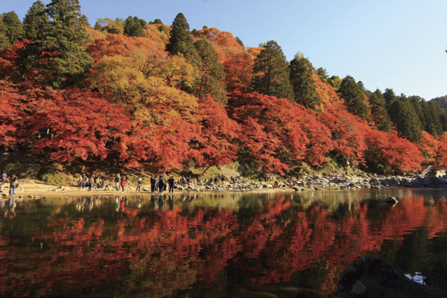 東海随一の紅葉スポット「香嵐渓」と滋賀「湖東三山」を巡る紅葉狩りツアー国内最大のイルミネーション ナガシマリゾート「なばなの里」2時間満喫