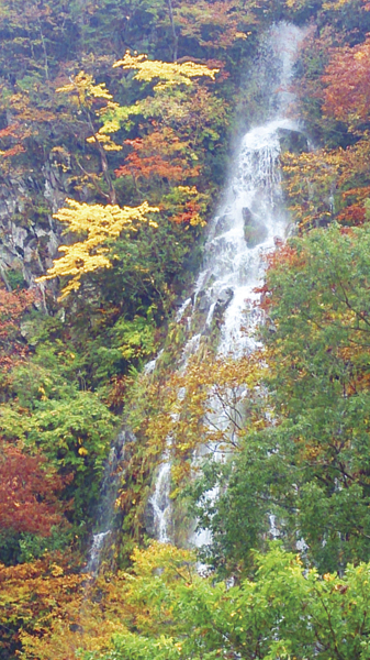 名瀑 幻の滝「樽滝」秋の巻と馬曲温泉と木島平村 のんびり旅