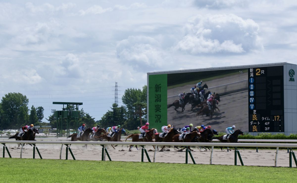 午年開運！〜夏の日帰り弾丸新潟〜　新潟酒造見学と新潟競馬場見学（GⅢ新潟記念）