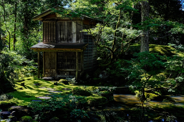 ワンランク上の旅！かしわざき三名園 めぐりの旅