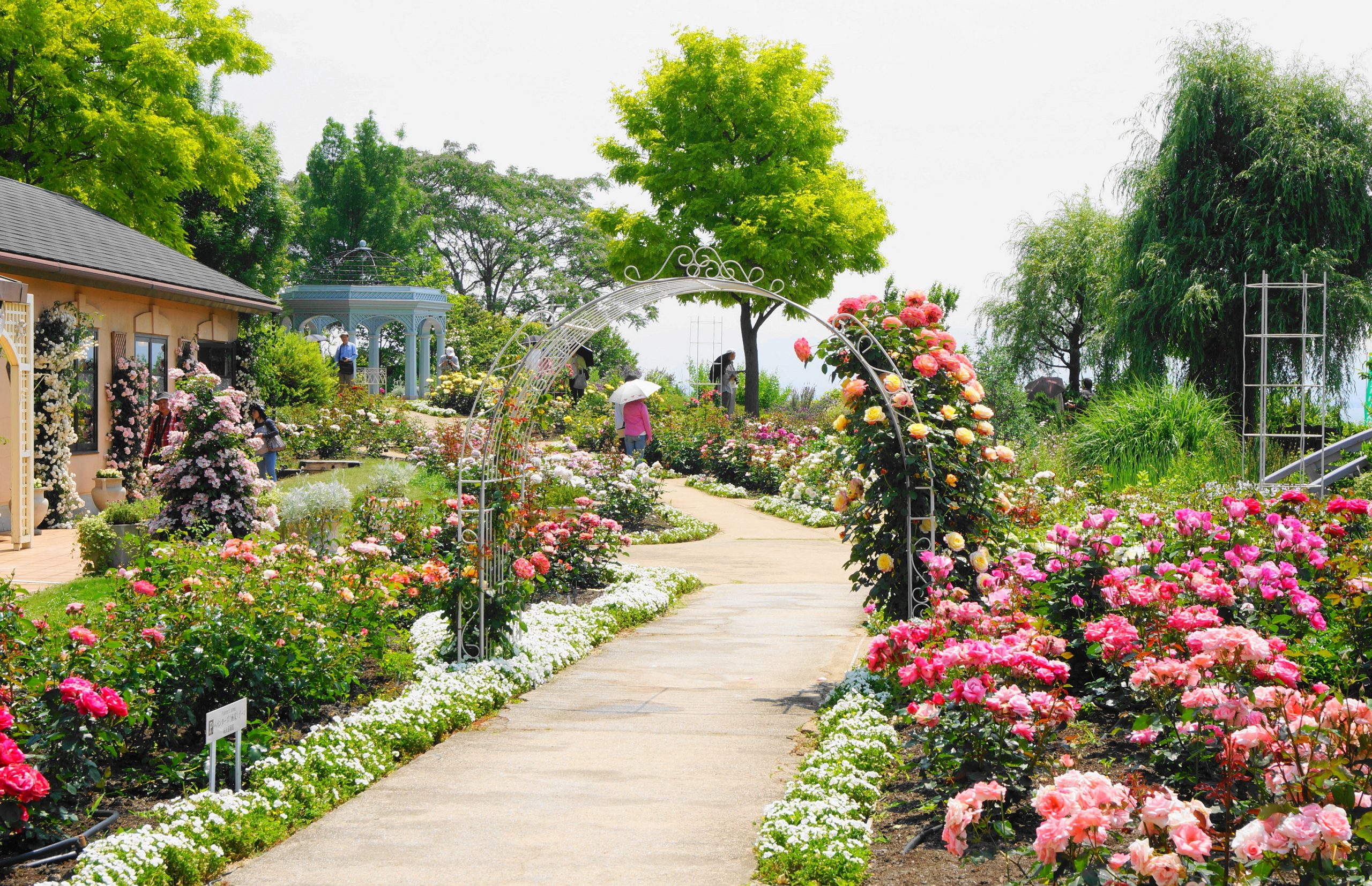 【映画「国宝」ロケ地】びわ湖大津館見学とイングリッシュガーデン　古都おおつの神社仏閣をガイドとめぐる　ロケ地づくし！日帰りの旅♪