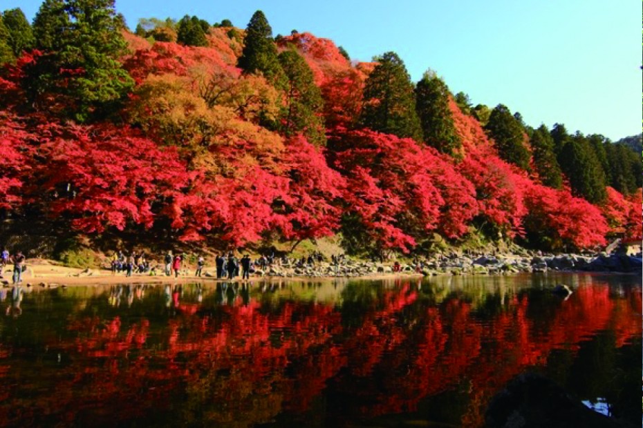 第3弾は、「香嵐渓」と 「小原の四季桜｣の後はどこへ行くか？ ハーフミステリー企画！