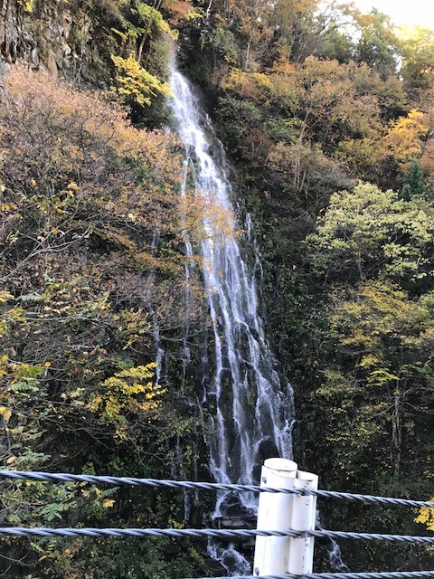 miyashita2