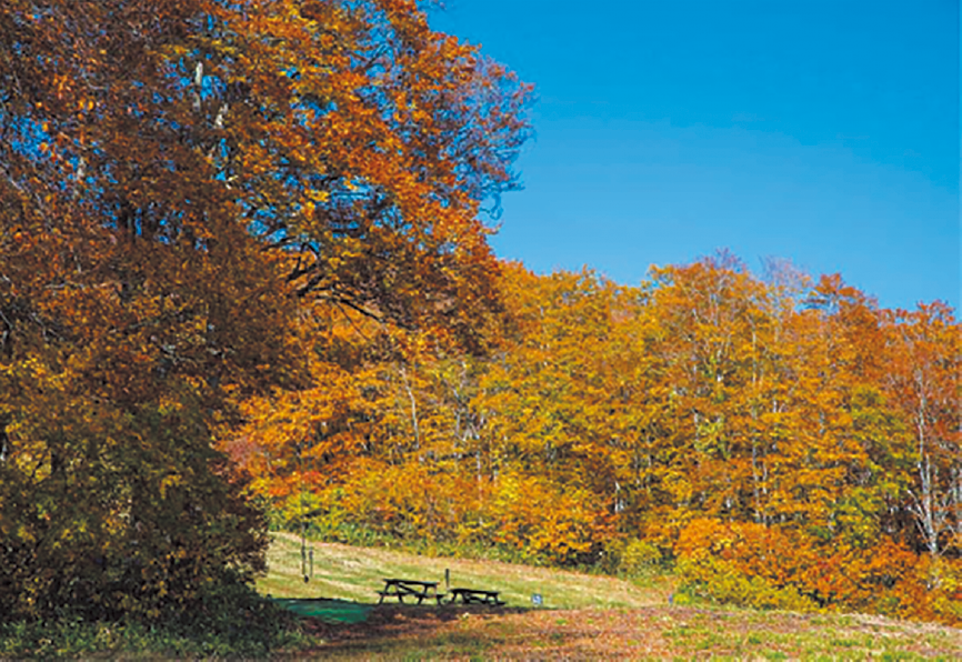 「山」と「温泉」を楽しむ！   妙高高原へ紅葉散歩、軽登山ハイキング