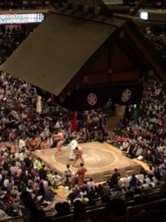 sumou_1