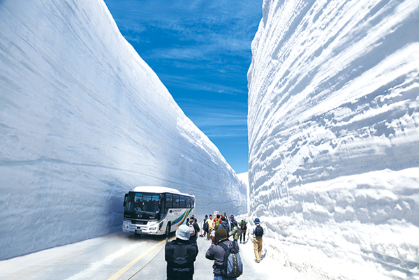 日帰り雪の大谷ウォーク